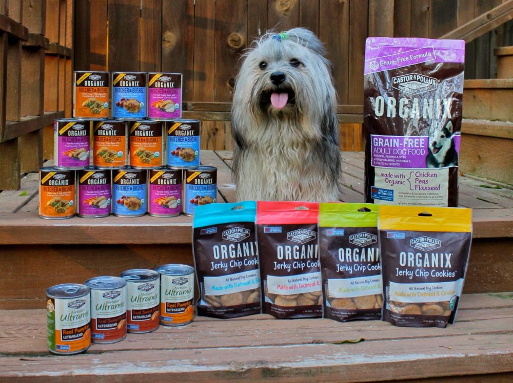 Top 10 Dog Foods That Are Surprisingly Good For Your Feline Friend ...