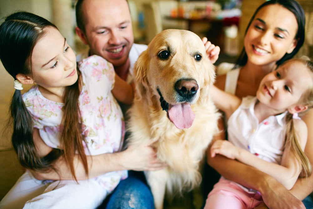 10-best-family-friendly-dog-breeds-life-360-tips